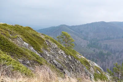 Сплав по р.Белой. Бурзянский район / Сибирский охотник