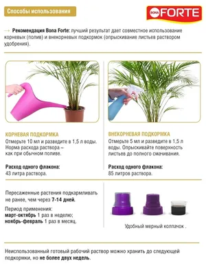 Изображение редкого растения Бутия