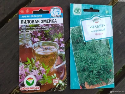 Алтайские травы - Чабрец — Павел Федченко на TenChat.ru