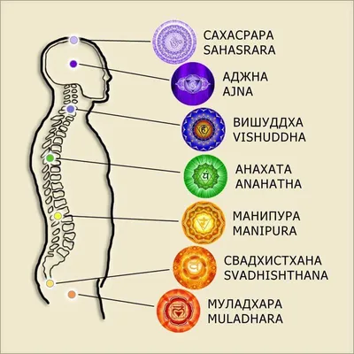 На картинках:⬆️ Йога и чакры) Чакры человека. Значение. Не все, что  существует в мире, можно увидеть собственными глазами. За пределами… |  Instagram