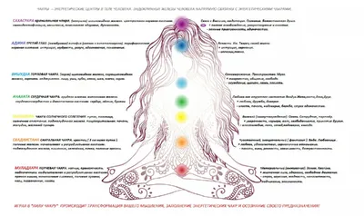 чакры и каналы человека их расположение: 2 тыс изображений найдено в Яндекс. Картинках | Чакры, Йога, Человек