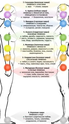 Чакры и их влияние на нашу жизнь | ЯРядом - онлайн-пространство для женщин  | Дзен