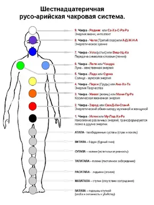 Славянская система чакр отличается от восточной: в ней 37 основных чакр! |  Татьяна Супельняк | Дзен