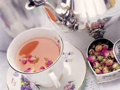 Красная чашка чая с лимоном и мятой Стоковое Изображение - изображение  насчитывающей цветасто, мята: 29013473