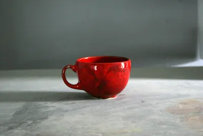 Чашка для чая Нарцисс Белый 450 мл 450 — купить в официальном  интернет-магазине Togas