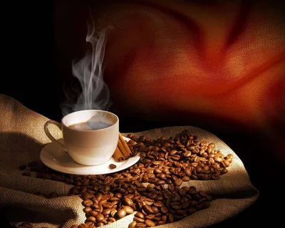 Доска меню, дом кофе, кофейное меню, чашка кофе Векторный объект Stock |  Adobe Stock