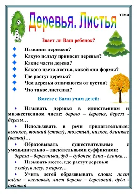 Иллюстрация бананового дерева и имя части бананового дерева Иллюстрация  штока - иллюстрации насчитывающей листья, знамена: 206834708