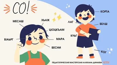 Речевая полянка\": \"Я - человек. Части тела и лица\" (5-6 лет)