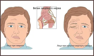 Без шанса на ошибку: определяем тип лица и выбираем прическу