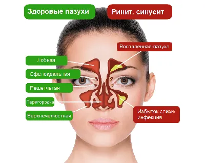 Как легко и быстро научиться рисовать человека - Подробный гайд