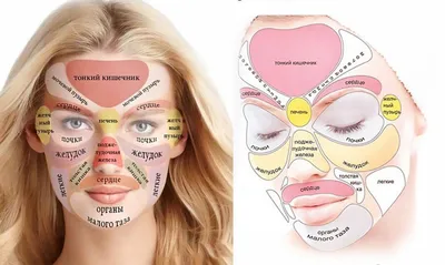 Китайская карта лица ➤ Публикация ⭐ Косметологической Клиники BeautyMED