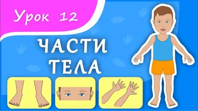 Картинки тело человека - 76 фото