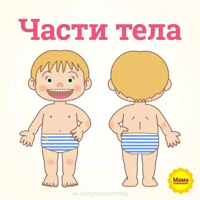 Части тела. Карточки для детей APK for Android Download