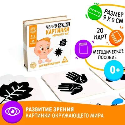 Развивающие карточки VeraKit Черно-белые для новорожденных 0+ Джунгли  купить по цене 465 ₽ в интернет-магазине Детский мир