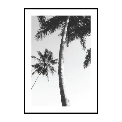 Черно-белые картины и постеры в интерьере: особое очарование контраста |  Интернет-галерея «Print4you»
