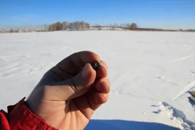Челябинский метеорит дороже золота — Викиновости