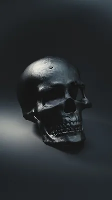 Картинка черепа в формате WebP