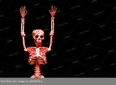 Медицински Точным Иллюстрация Человеческий Скелет - Позвоночник Фотография,  картинки, изображения и сток-фотография без роялти. Image 44543355