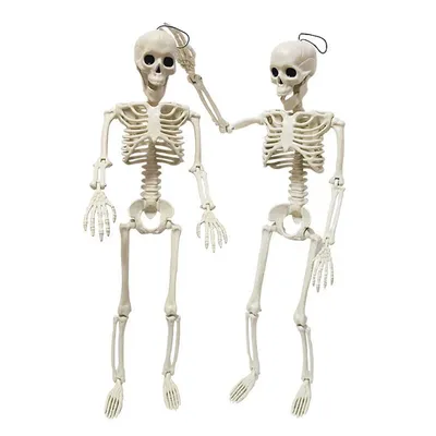 Большой человеческий скелет 170 см на Хэллоуин - Декорации - На Хэллоуин -  Аксессуары