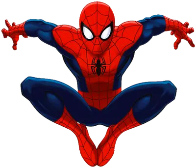 человек паук картинки для детей - Поиск в Google | Ultimate spiderman,  Spiderman, Spiderman cartoon