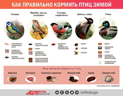 Чем кормить птиц зимой картинки фото