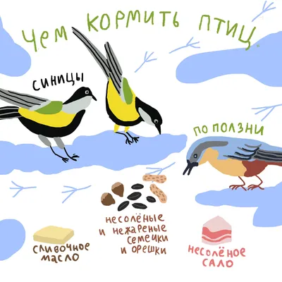 Чем кормить птиц зимой?