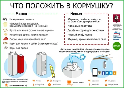 Чем кормить птиц зимой?