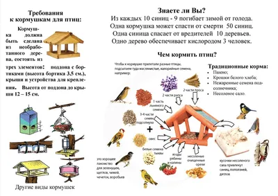 Как кормить птиц зимой? Только не хлебом! | 04.12.2023 | Приозерск -  БезФормата