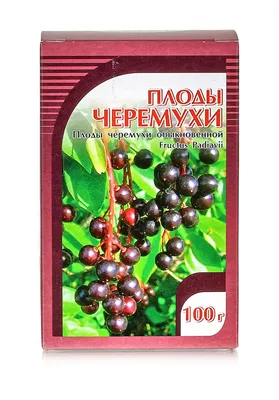 Синоптики назвали причину холодов в мае при цветении черемухи - Российская  газета