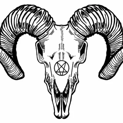 Изображение черепа барана на черном фоне