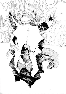 Изображение черепа коровы в черно-белом стиле