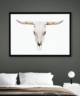 Фото черепа коровы с небольшими царапинами
