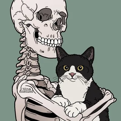 Череп кота: прекрасное изображение для вашего блога