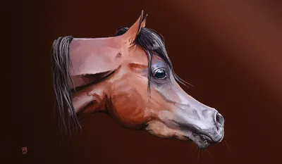 Изображение черепа лошади в стиле современное искусство