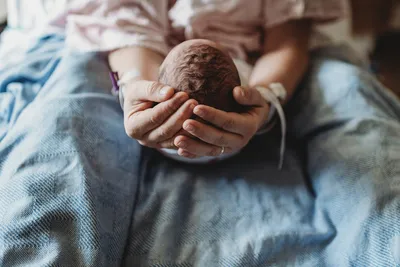 Фотография черепа новорожденного для дизайна