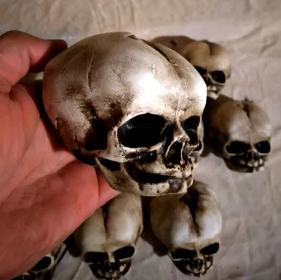 Картинка черепа новорожденного для скачивания