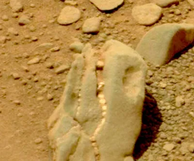 Череп на марсе фото