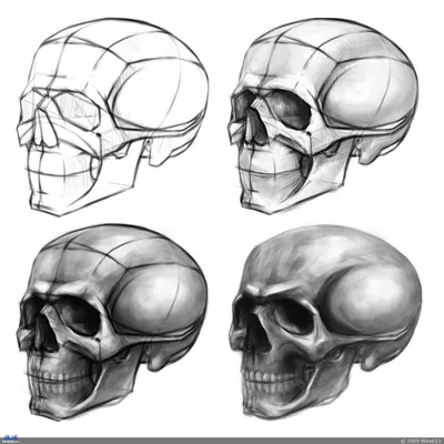 Картинка черепа в формате JPG для использования в социальных сетях