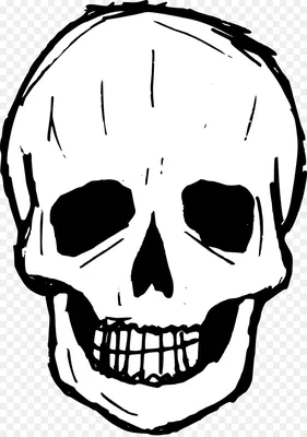 Картинка черепа в графическом формате WebP