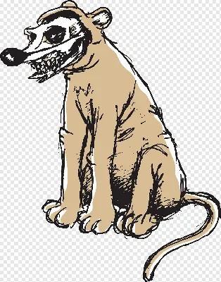 Череп собаки: Картинка в формате PNG для вашего дизайна