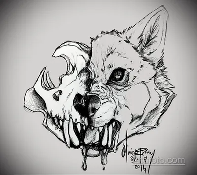 Череп волка: идеальный элемент для татуировки