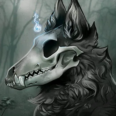 Картинка черепа волка: WebP для быстрой загрузки