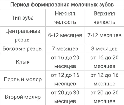 Картинка черепа ребенка с молочными зубами в PNG