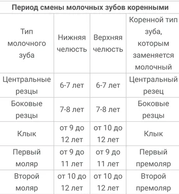 Изображение черепа ребенка с молочными зубами в WebP