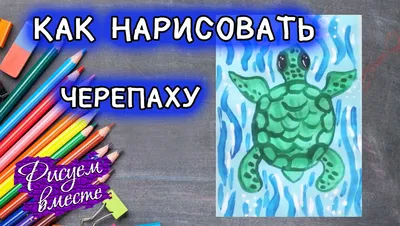 Купить Vetaka Baby Spielzeug Schildkrote fur Kinder Детская игрушка черепаха  для детей в интернет-магазине Diskontshop.eu Германия всего за 5 202 руб. в