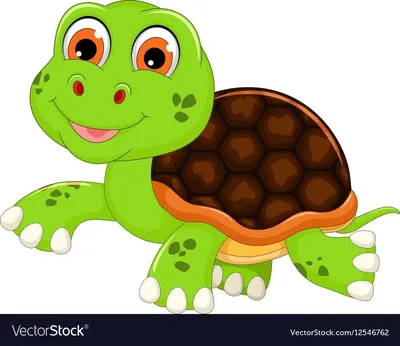 Testudo kleinmanni (Египетская черепаха) - Черепахи.ру