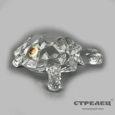 Картина Черепаха ᐉ Гребинская Светлана ᐉ онлайн-галерея Molbert.