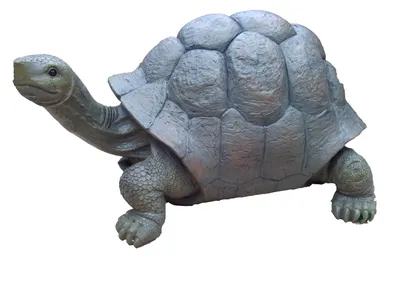 Черепаха Тортила, gigantic, cute, …» — создано в Шедевруме