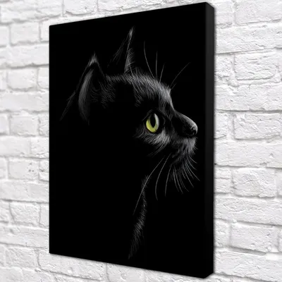 Чёрная кошка в чёрной комнате ) | Пикабу