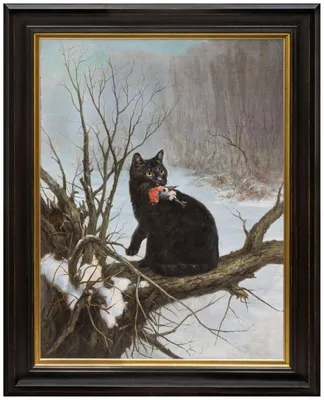 закрытая чёрная кошка стоковое изображение. изображение насчитывающей  черный - 250771773